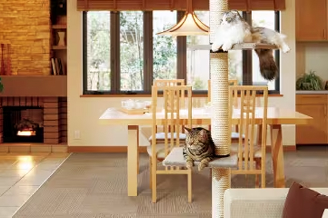 ペット目線で考えた暮らしやすさ